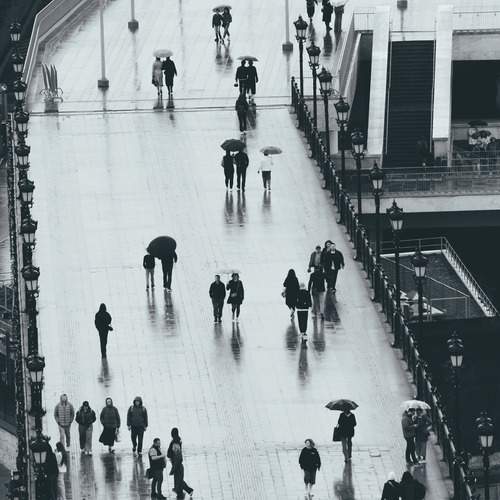 Photo #12904994