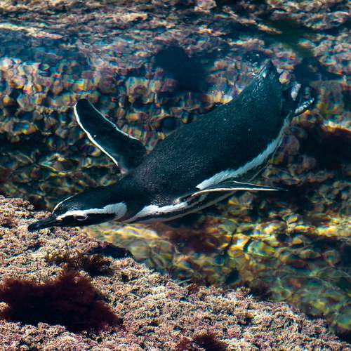 Фотография #12905431