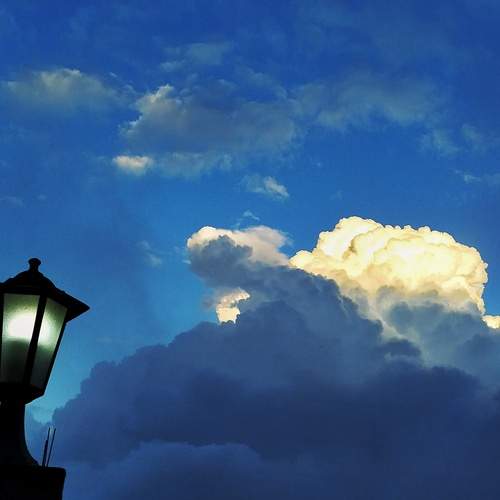 Photo #12905557