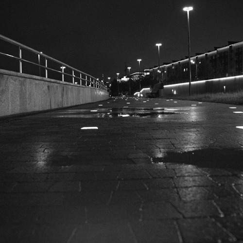 Photo #12905896