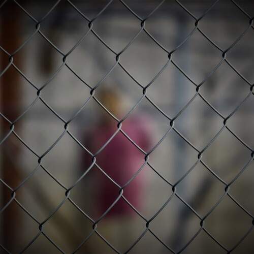 Photo #12905991
