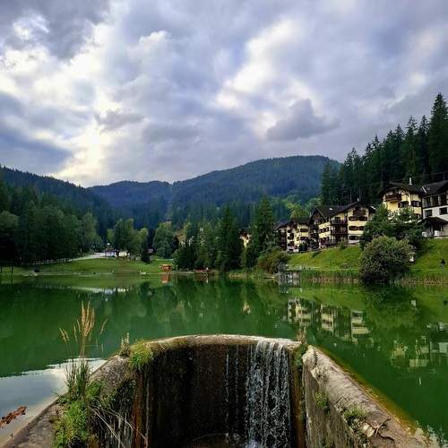 Photo #12906271