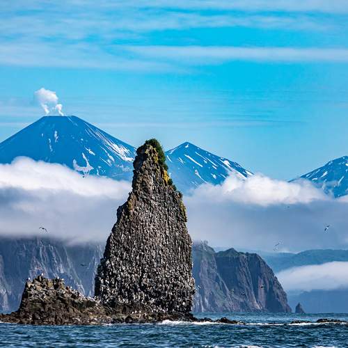 Photo #12906354