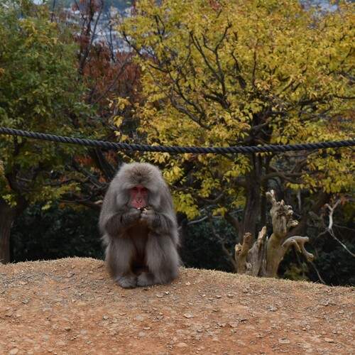 Photo #12906440