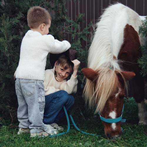 Photo #12906503