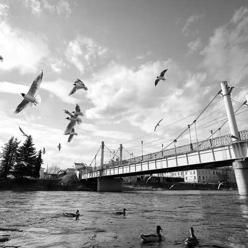 Торжокский пешеходный мост