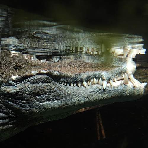 Photo #12907315