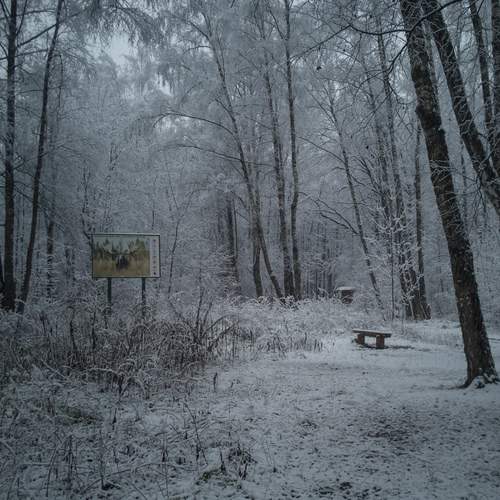 Photo #12907398
