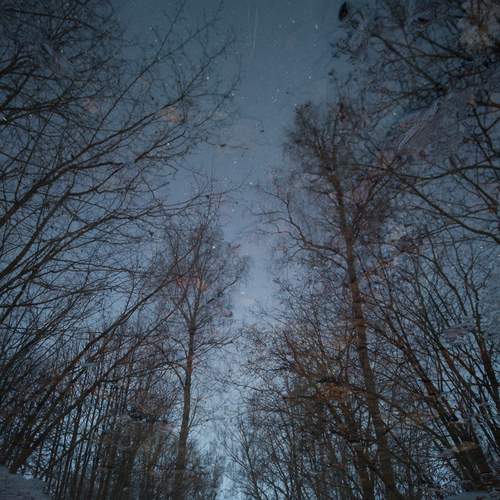 Photo #12907404