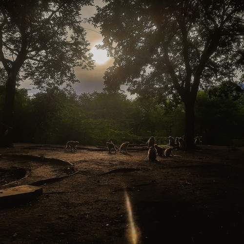 Photo #12907417