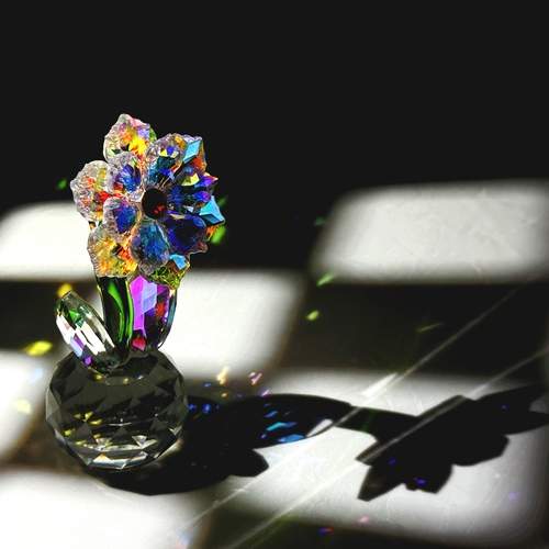Photo #12907424
