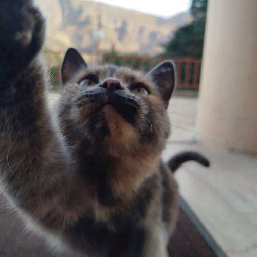Photo #12907692