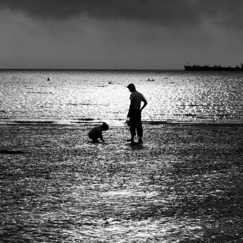 Photo #12907707