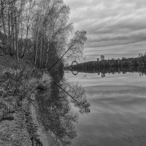 Photo #12907718