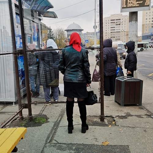 Photo #12907799