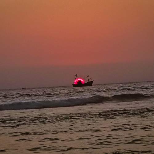 Photo #12907920