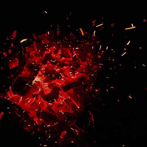 Photo #12907921