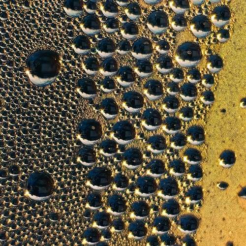 Photo #12907928