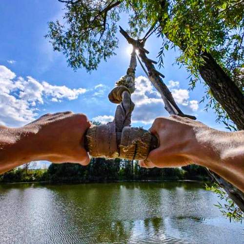 Photo #12908043