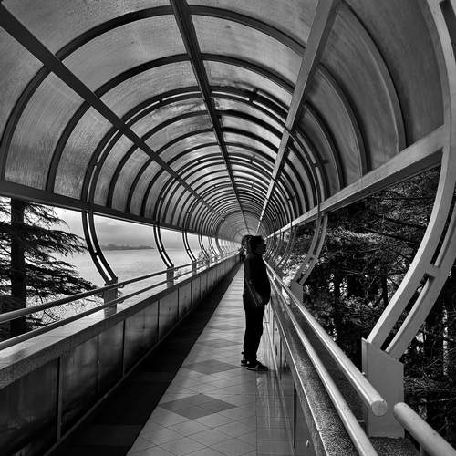 Под сводами