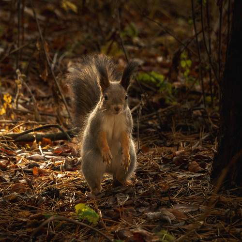 Photo #12908695
