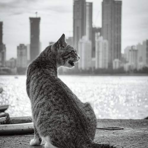 Photo #12909223