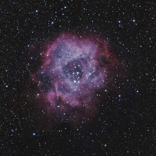 Фотография #12909382