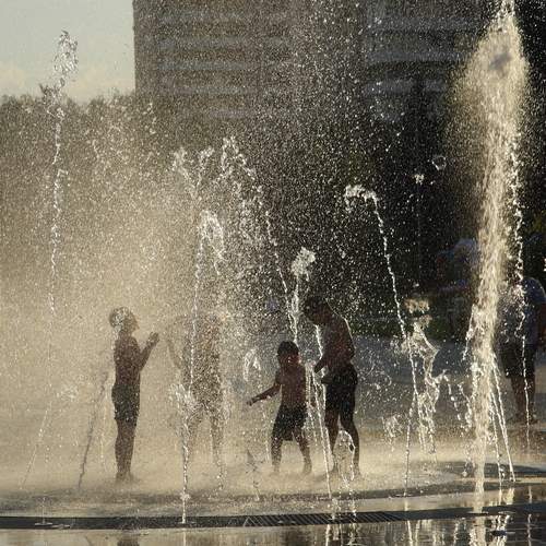 Photo #12909444