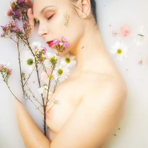 Photo #12909462