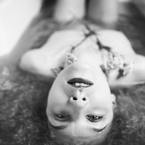 Photo #12909463