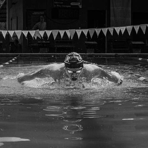 Photo #12909531