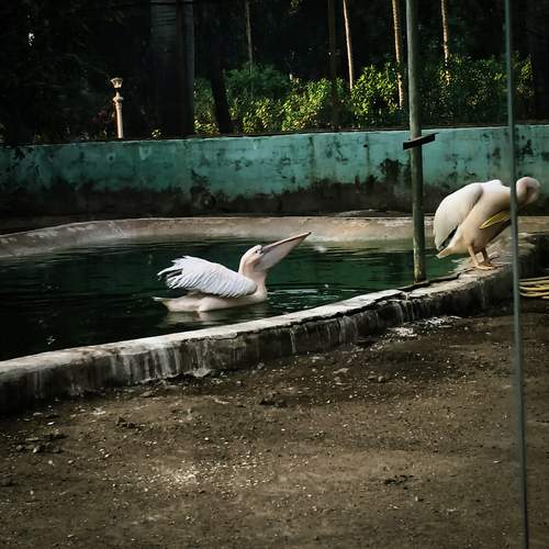 Photo #12909597