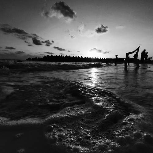 Photo #12909646