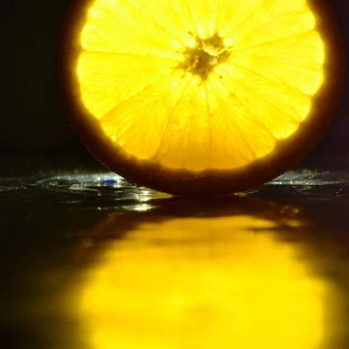 Photo #12910392