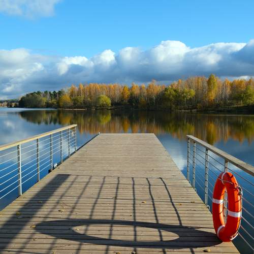 Photo #12910581