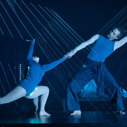 Photo #12910784