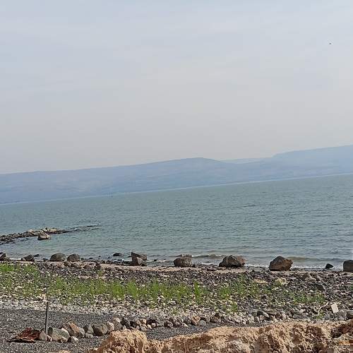 Photo #12910802