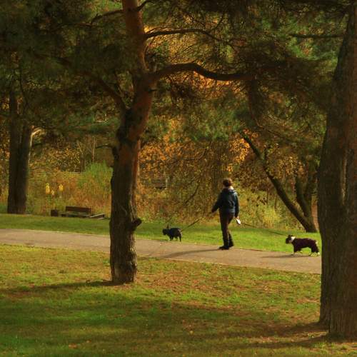 Photo #12910816