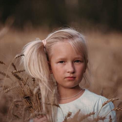 Photo #12910841