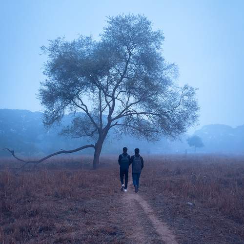 Photo #12910911