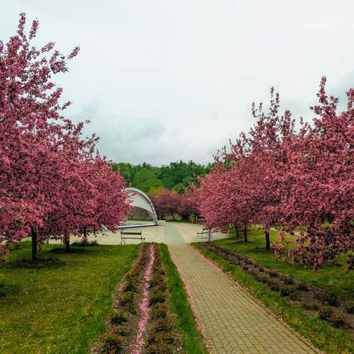 Photo #12911413