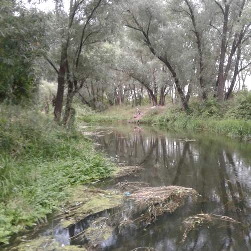 Photo #12911486