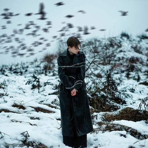 Photo #12911567