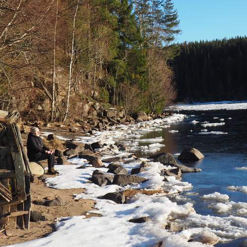 Photo #12911600