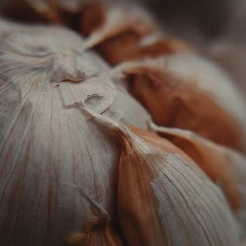 Photo #12911673