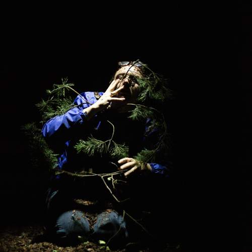 Photo #12911711