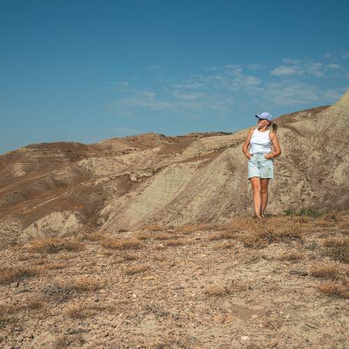 Photo #12911713