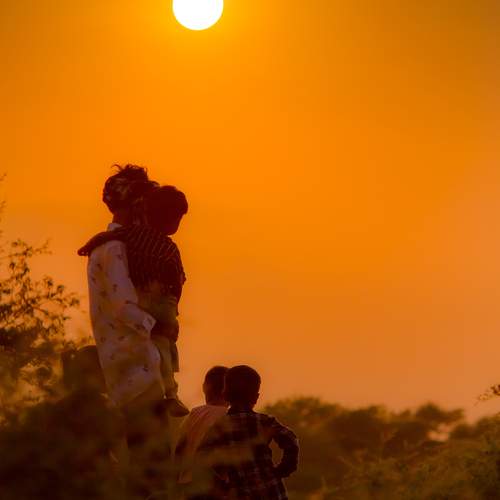 Photo #12911855