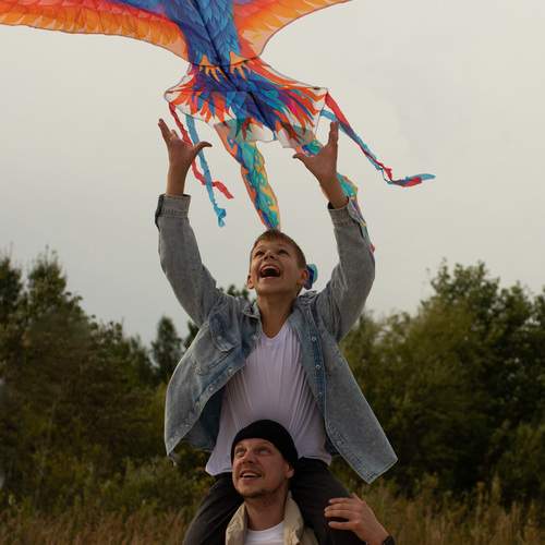 Photo #12912483
