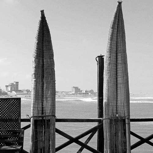Photo #12912522